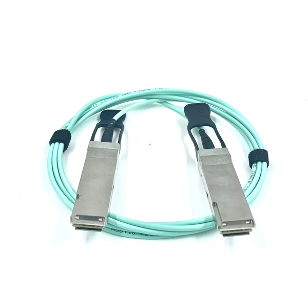 Portuguese spot optical network switch 2 5G PDF preview