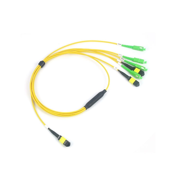 Introduction to Multimode 2-core Fiber Optics