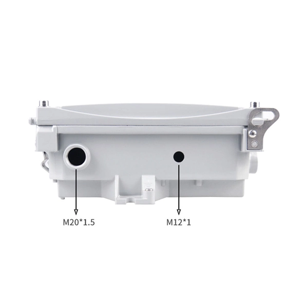 Central Asia Optical Module Industry PDF preview