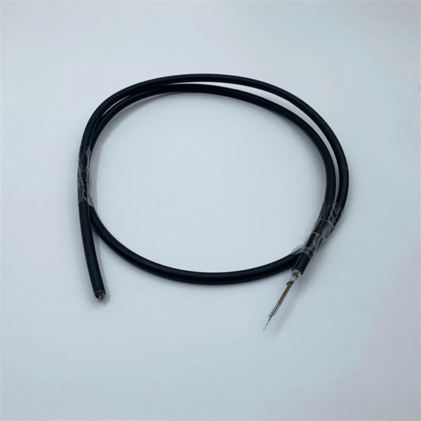 The switch s optical port has a CRC check