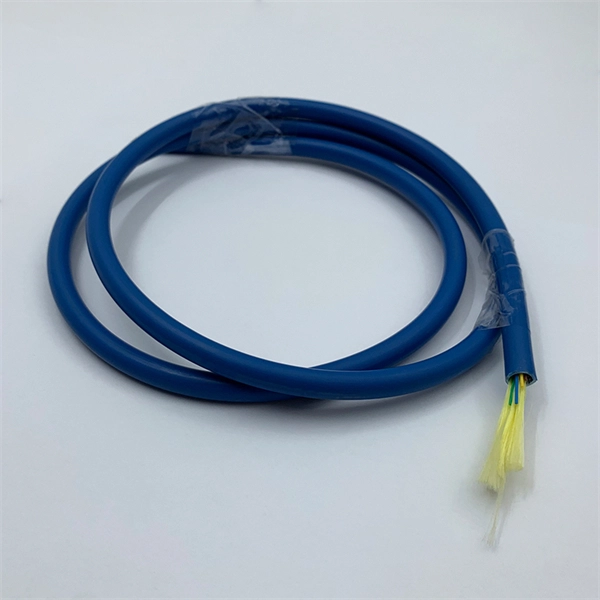 What are some overseas optical module manufacturers 