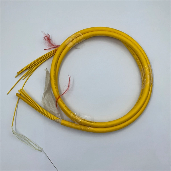 Singapore Data Center Cable Management System Construction Case Study PDF preview