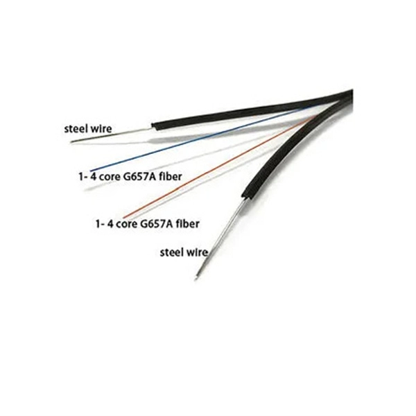 Fiber Optic Communication Coherent Technology