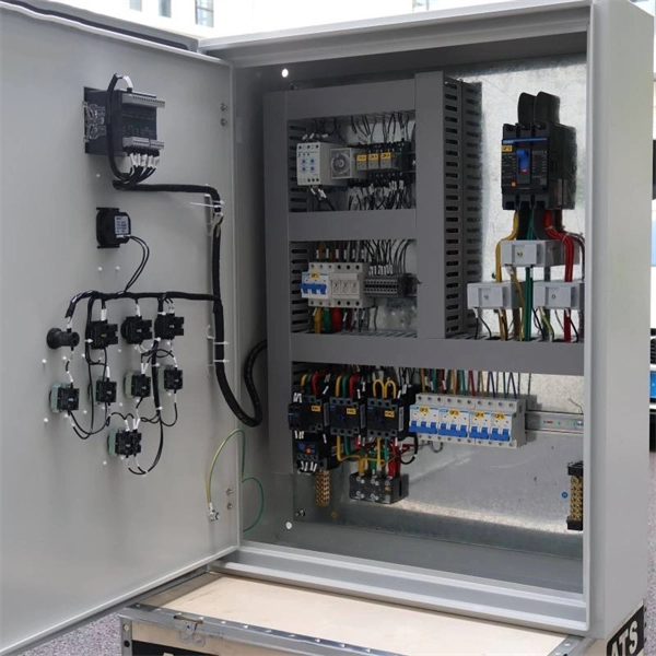 The Role of the Singapore Control Module PDF preview